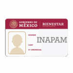 INAPAM_Mesa de trabajo 1