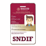 SNDIF2_Mesa de trabajo 1